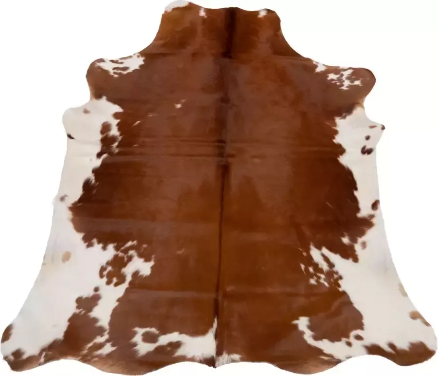 Dutchskins Koeienhuid vloerkleed Bruin wit Cognac Koeienkleed Bruin wit Cognac mooie dikke kwaliteit handgeselecteerde koeienvellen Ecologisch gelooid Uniek gefotografeerde koeienhuiden - Foto 2