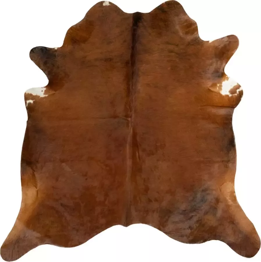 Dutchskins Koeienhuid vloerkleed Cognac Bruin Koeienkleed Cognac Bruin mooie dikke kwaliteit handgeselecteerde koeienvellen Ecologisch gelooid Uniek gefotografeerde koeienhuiden - Foto 6