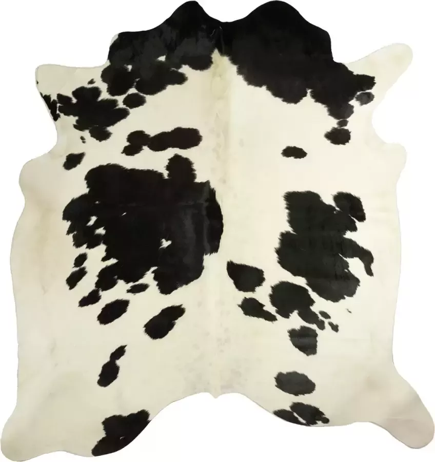 Dutchskins Koeienhuid vloerkleed Zwart Wit Koeienkleed Zwart Wit mooie dikke kwaliteit handgeselecteerde koeienvellen Ecologisch gelooid Uniek gefotografeerde koeienhuiden - Foto 3