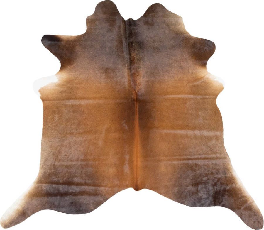 Dutchskins Koeienhuid vloerkleed Roodbruin dikke kwaliteit koeienkleed Ecologisch gelooide koeienvellen Uniek gefotografeerde koeienhuiden