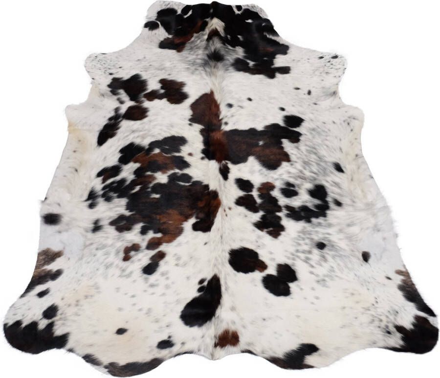 Dutchskins Koeienhuid vloerkleed Roodbruin Tricolor Wit dikke kwaliteit koeienkleed Ecologisch gelooide koeienvellen Uniek gefotografeerde koeienhuiden