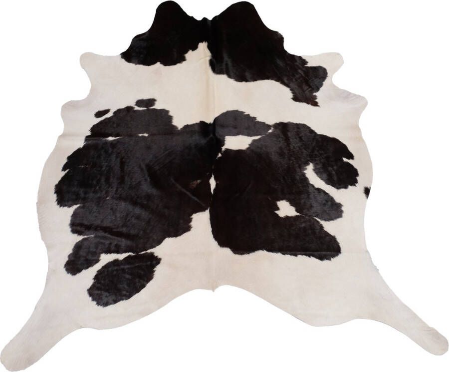 Dutchskins Koeienhuid vloerkleed Zwart Wit Zwart Koeienkleed Zwart Wit Zwart mooie dikke kwaliteit handgeselecteerde koeienvellen Ecologisch gelooid Uniek gefotografeerde koeienhuiden