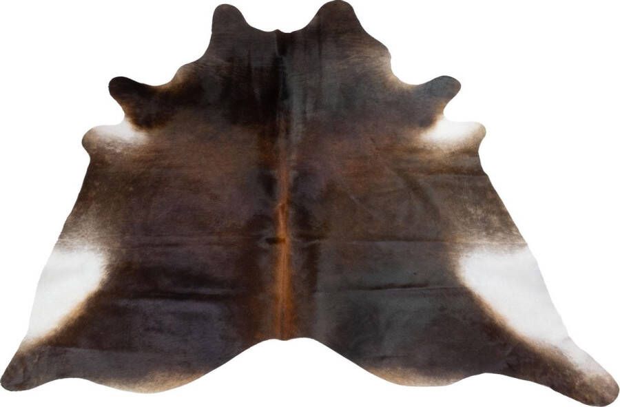 Dutchskins Koeienhuid vloerkleed Zwart Koeienkleed Zwart mooie dikke kwaliteit handgeselecteerde koeienvellen Ecologisch gelooid Uniek gefotografeerde koeienhuiden - Foto 2