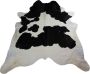 Dutchskins Koeienhuid vloerkleed Zwart Wit Zwart Koeienkleed Zwart Wit Zwart mooie dikke kwaliteit handgeselecteerde koeienvellen Ecologisch gelooid Uniek gefotografeerde koeienhuiden - Thumbnail 2