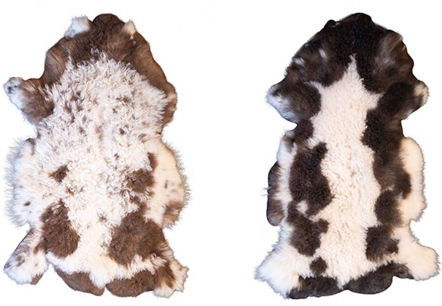 Dyreskinn 100% ECHT Schapenvacht Natuurlijk Multicolour (90-100cm) set van 2 vachten