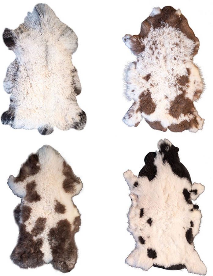 Dyreskinn 100% ECHT Schapenvacht Natuurlijk Multicolour (90-100cm) set van 4 vachten