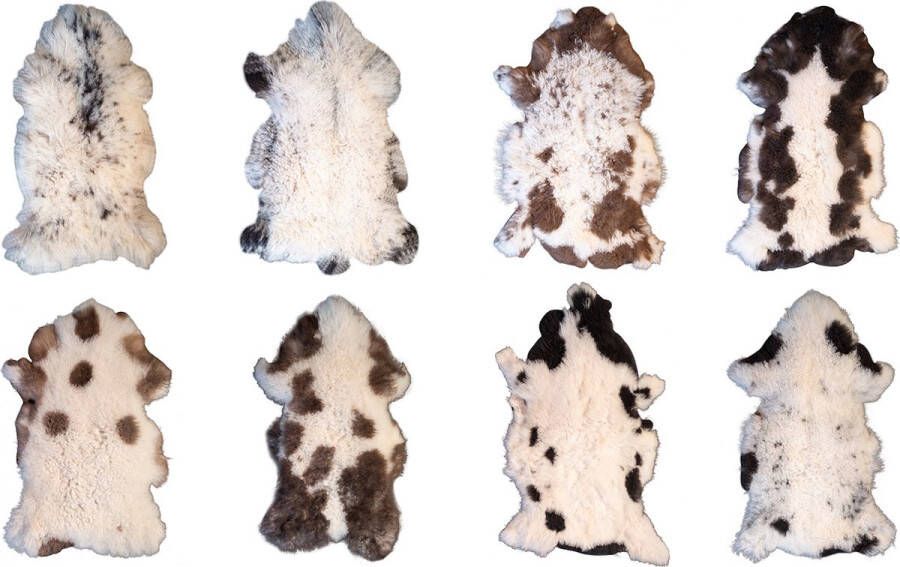 Dyreskinn 100% ECHT Schapenvacht Natuurlijk Multicolour (90-100cm) set van 8 vachten