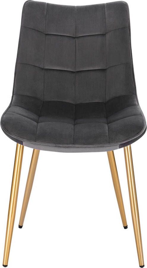 Dytroux Eetkamerstoelen Grijs Velvet 2 Stuks – Make Up Stoel Fluweel Grijs – 46.5 x 42 cm– Keukenstoelen