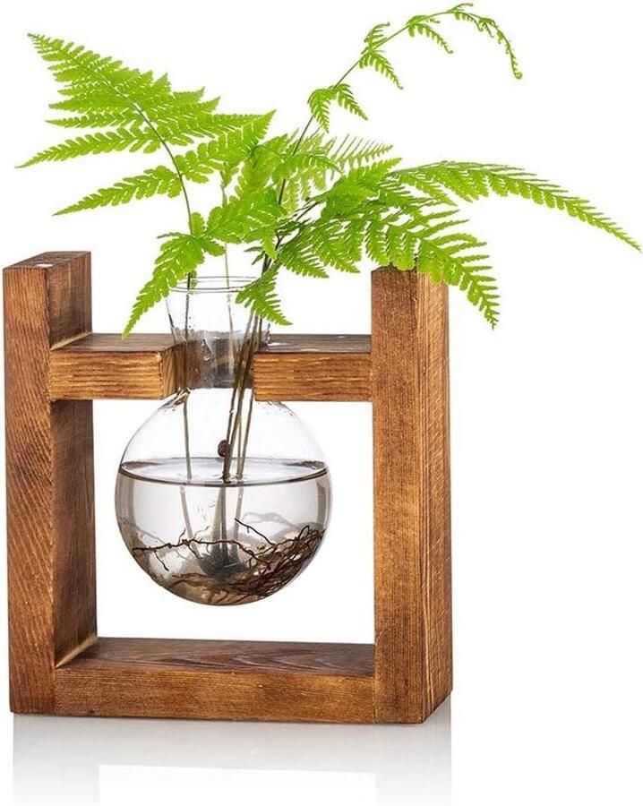 1 stuk bolle vaas glazen zoete erwt vaas voor bloemen terrarium vaas planter met houten rack standhouders voor groene water planten geschikt voor thuis keuken tafel bureau binnendecoratie Voortplantingsstation