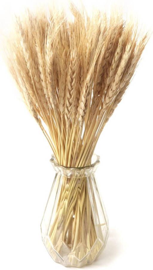 100 STKS Natuurlijke Gedroogde Bloemen Tarwe Decoratie Gedroogde Bloemen Tarwe Natuurlijke Droge Bloemen Decoratie voor Bruiloft Thuis Balkon Feest Tafel Vaas Decoratie (Beige)