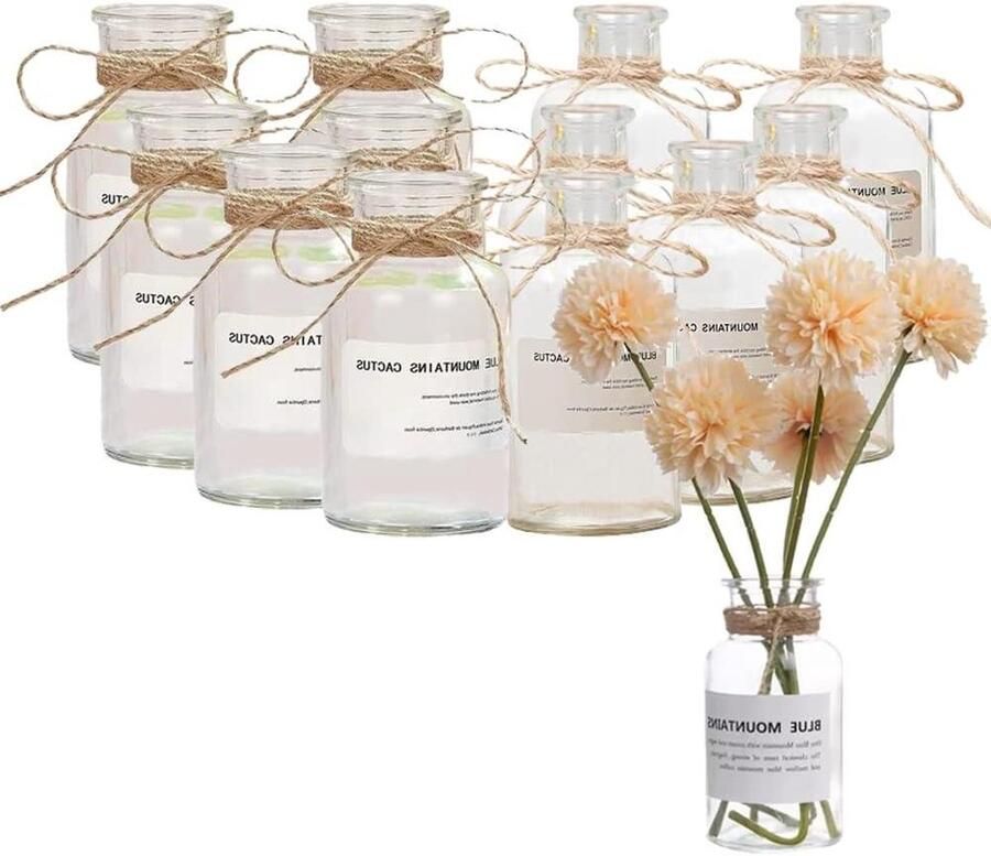 12 stuks mini-vazen van glas decoratieset kleine vazen bruiloft vintage voor boerderij woonkamer slaapkamer plank eettafel tafelopzetstuk 2 maten