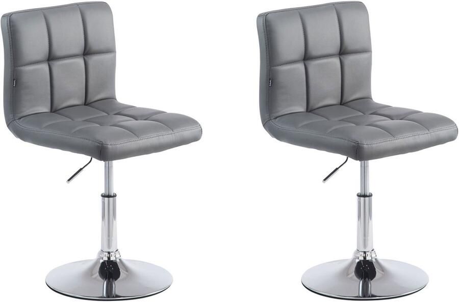 2-delige Set Lounger Stoelen Luxe Kunstleer Hoogte Verstelbaar Chroom-look Frame