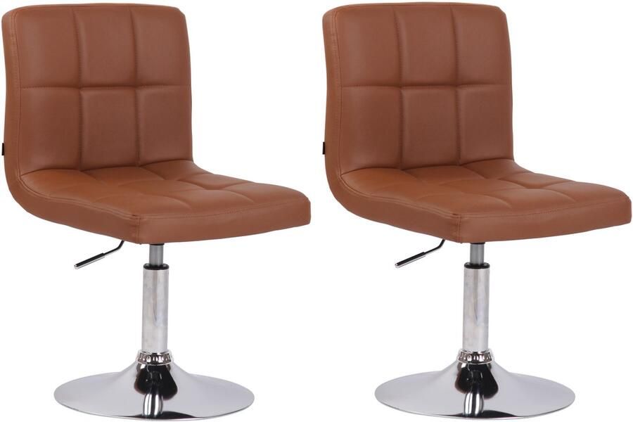 2-delige Set Lounger Stoelen Luxe Kunstleer Hoogte Verstelbaar Chroom-look Frame