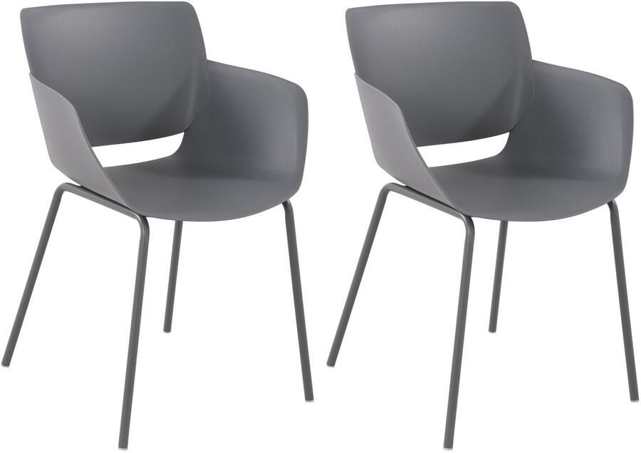 2-delige Set Tuinstoelen Terrasstoelen Weerbestendig Polypropyleen