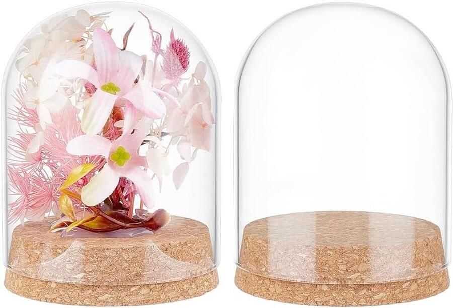 2 stuks glazen display koepel cloche 107x80.5mm glazen potten met kurk basis Vitrine voor bloemspecimens en woondecoratie Doe-het-zelf project Binnendiameter: 76 5 mm