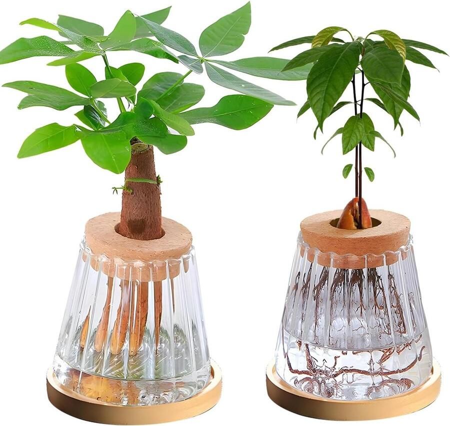 2 stuks hydrocultuur plant glazen container vermeerdering station plant terrarium plantenbak hydrocultuur glazen vaas voor waterplanten of bloemen thuiskantoor tafel decor (type 1)