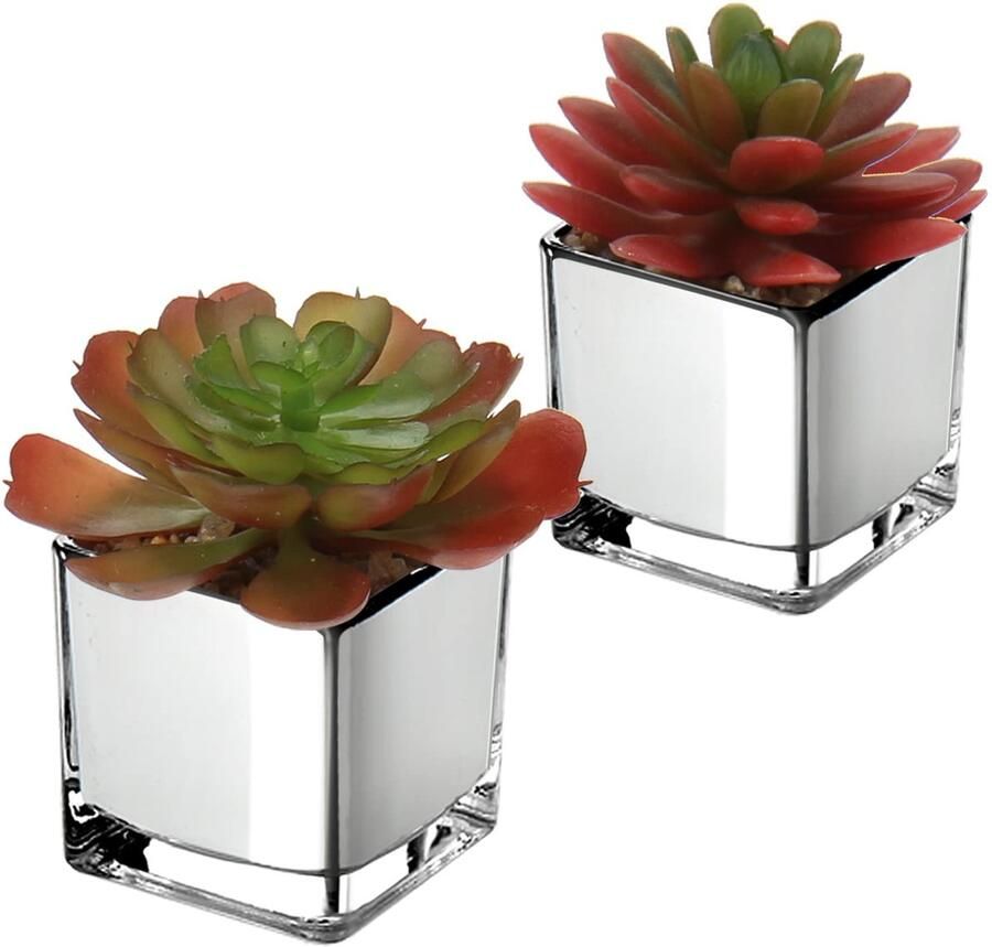 2 stuks kunstmatige vetplanten decoratieve planten in glazen pot Decoratieve mini vetplanten kamerplanten voor badkamer balkon slaapkamer woonkamer bureau decoratie