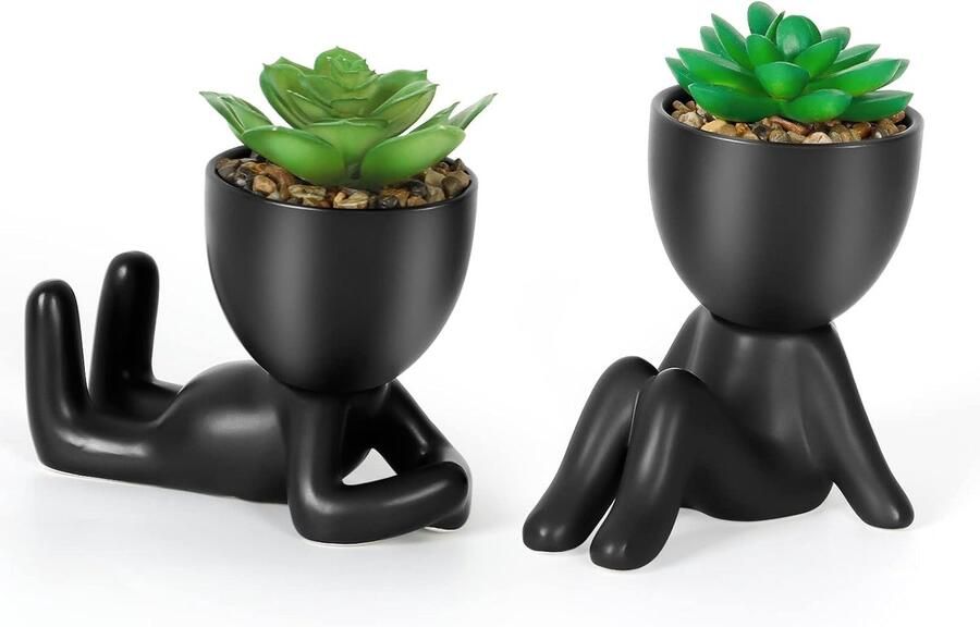 2 stuks kunstplant met zwarte keramische pot kunstvetplanten mini-kunstplanten namaakplanten decoratieve planten voor badkamer esthetisch rek tafeldecoratie boekenkast