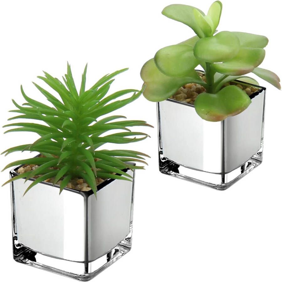 2 stuks kunstplant voor vetplanten decoratieve plant in glazen pot decoratieve mini-vetplanten kamerplant voor badkamer balkon slaapkamer woonkamer bureau decoratie