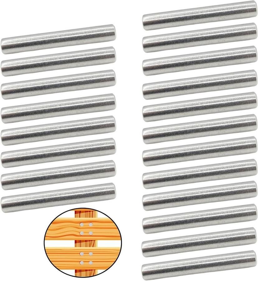 20 Stuk RVS Deuvel Pin – Cilindrische Vorm Lokaliseren Pluggen voor Deuren Vensters Bed Boekenkast Fristafel