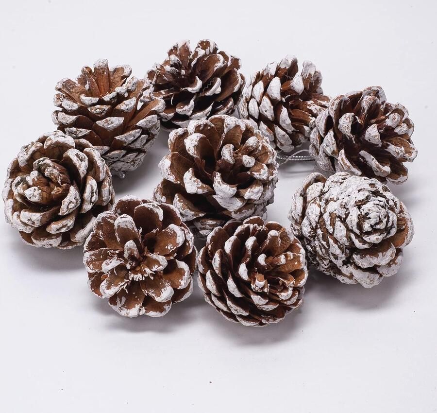 24 Stuks Natuurlijke Dennenappels voor Kerst- en Adventdecoratie 4-5 cm Decoratieve Hangers