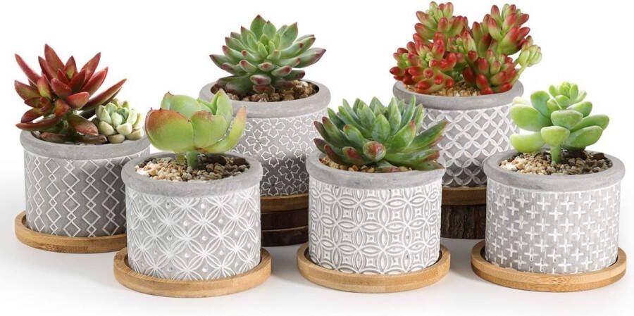 3-delige set potjes voor vetplantjes en cactussen 6 cm cementgrijs met onderzetter voor tuin kantoor bureau decoratie geschenk voor verjaardag huwelijk Kerstmis 6er-Set