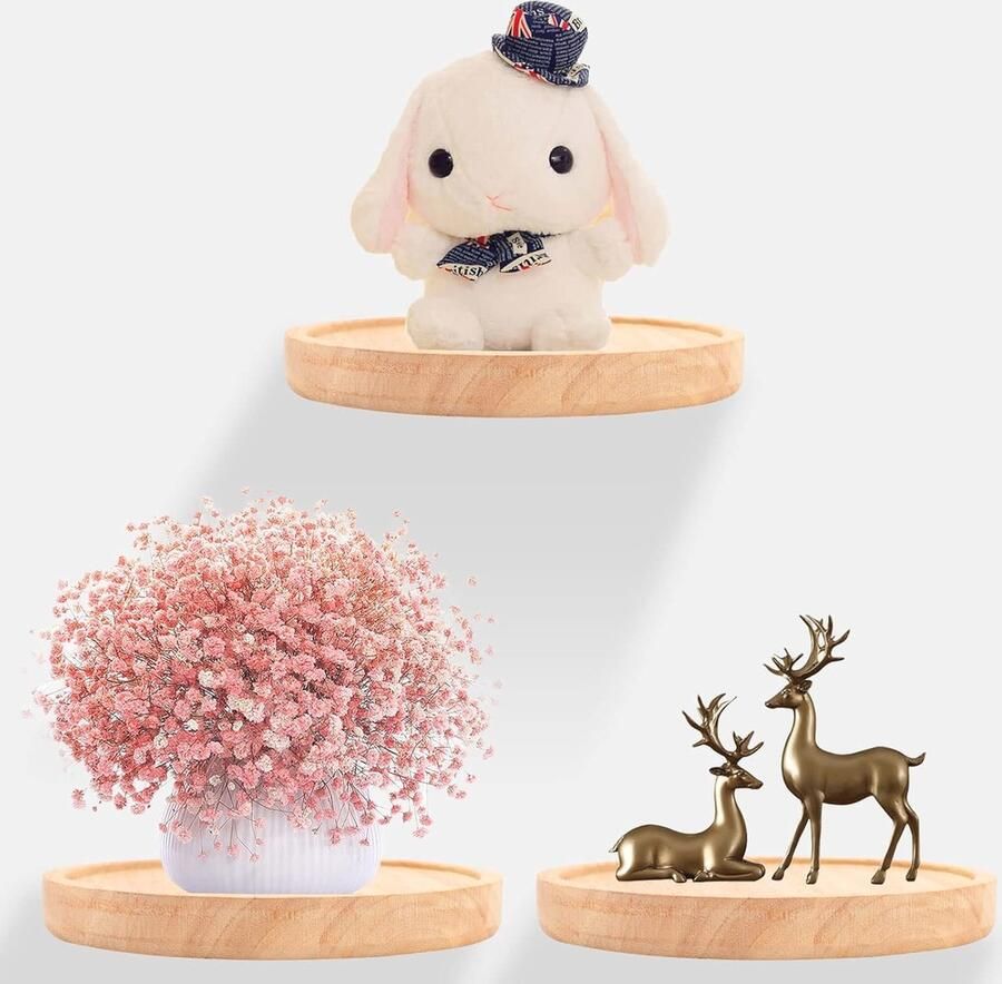 3 Stuks Ronde Wandplanken Zwevend Hout voor Decoratie Foto's en Planten Modern Design Ø 15 cm