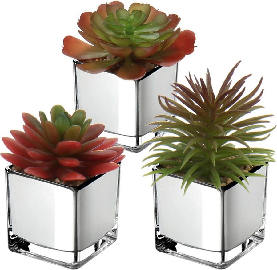 3 stuks vetplanten kunstplant decoratieve plant in glazen pot decoratieve mini-vetplanten kamerplant voor badkamer balkon slaapkamer woonkamer bureau decoratie