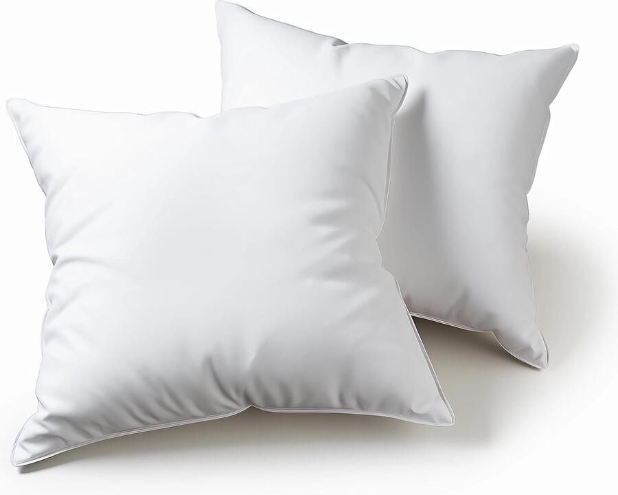 40 x 40 cm Set van 2 Sierkussens voor Bed en Bank Binnenkussen Hypoallergeen Bankkussen Anti-Huisstofmijt Zacht Sierkussen met Kussenhoes Microvezel Afneembaar