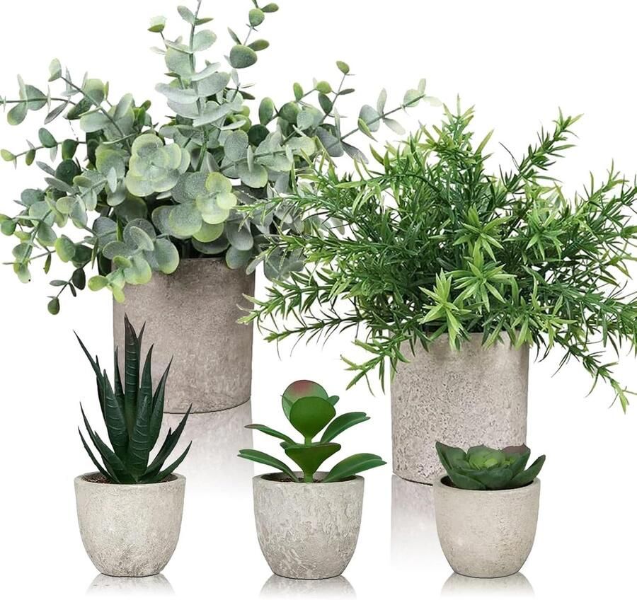 5 Pcs Kunstplanten in Pot Nepplanten als Echte Binnen Decoratieve Succulent Pot voor Tafel Decoratie Keuken Thuis Balkon Kantoor