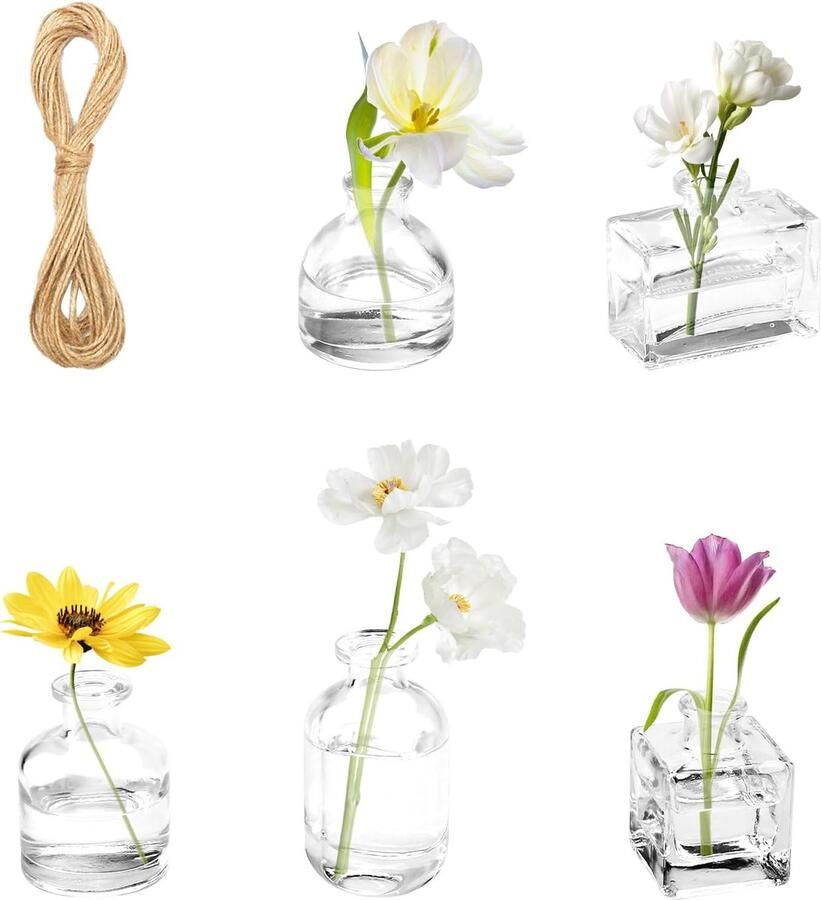 5 Stuks Kleine Glazen Vazen Bloemenvazen Tafeldecoratie Bruiloft Vintage Doorzichtig Mini Vaas Glazen Set voor Thuis Keuken Woonkamer Kantoor Plank Party Tafel Decoratie met Jute Koord