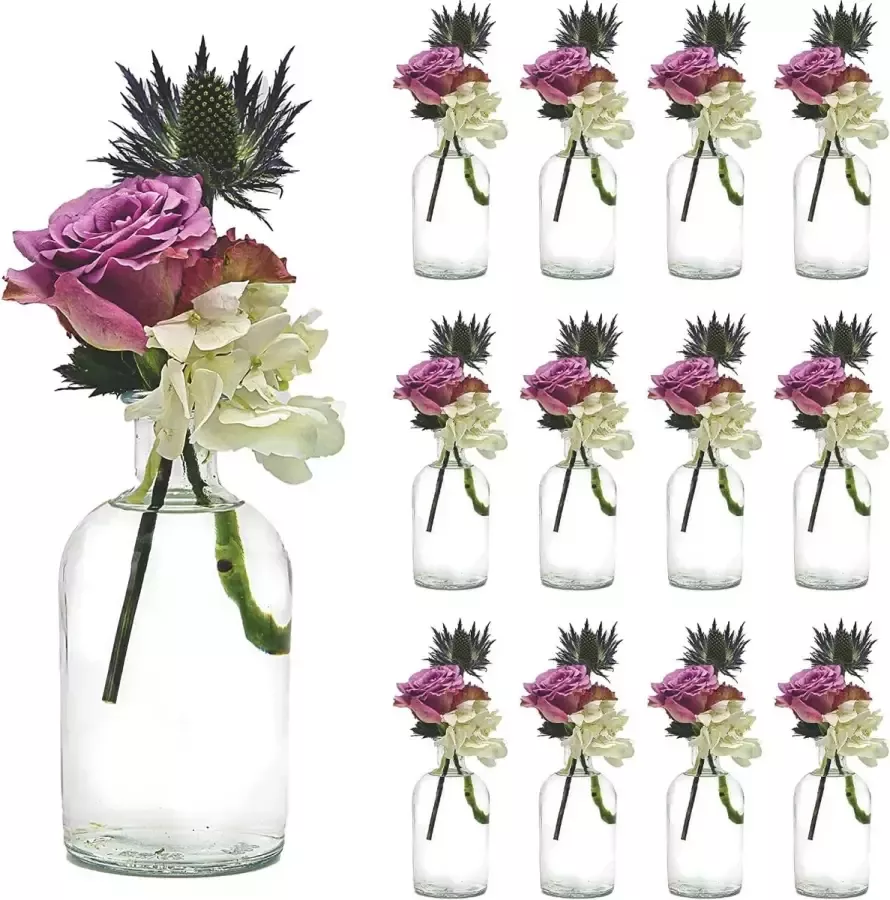 6 of 12 stuks kleine vaas BOST bloemen tafel decoratie bruiloft party set fles helder glas (12 x 250 ml)