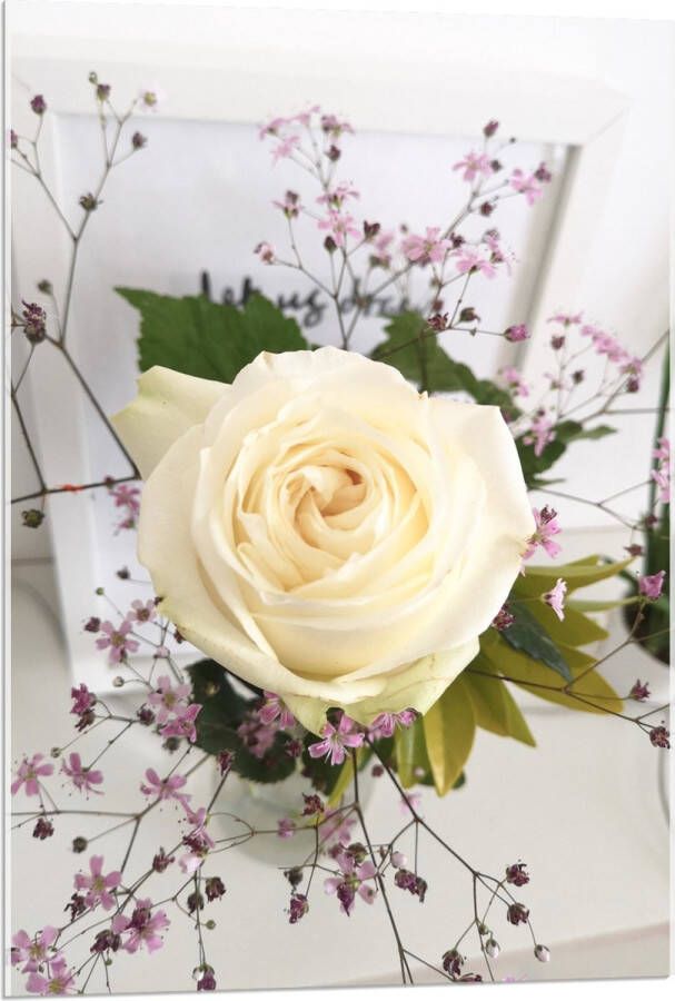 Acrylglas Bloemen Roos Bladeren Bureau Boeket Vaas 60x90 cm Foto op Acrylglas (Wanddecoratie op Acrylaat)