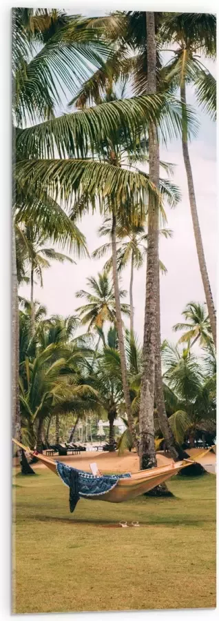 Acrylglas Hangmat tussen Palmbomen 30x90 cm Foto op Acrylglas (Met Ophangsysteem)