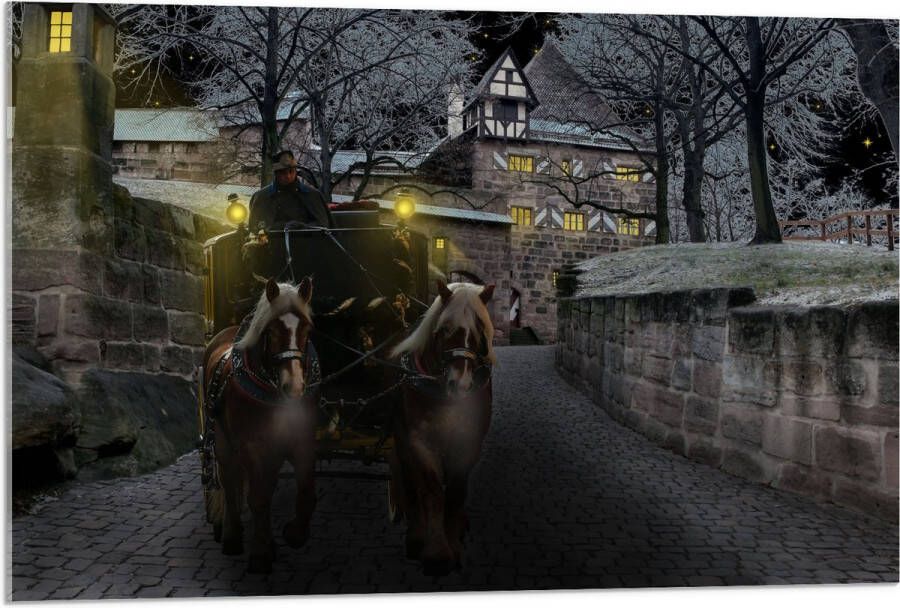 Acrylglas Pad Persoon Bomen Huis Dier Paarden Lampen 90x60 cm Foto op Acrylglas (Met Ophangsysteem)