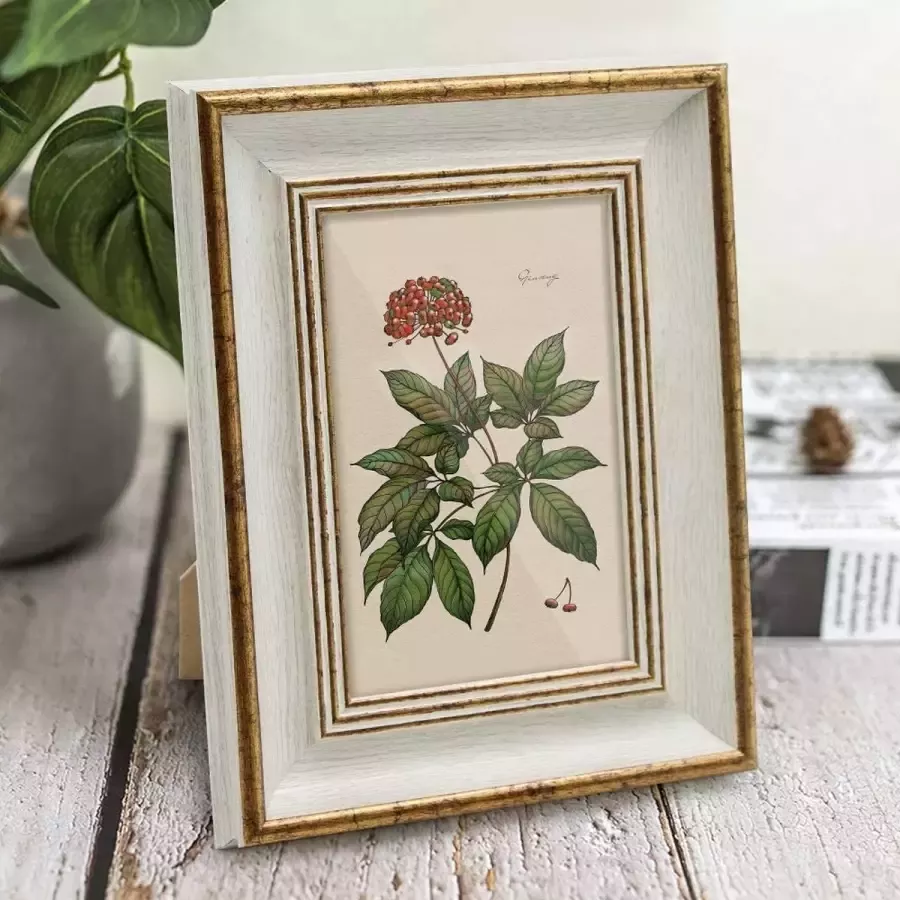 Afuly 10x15 fotolijst wit in goud retro vintage antieke shabby fotolijst tafel of muur familie ouders geschenk