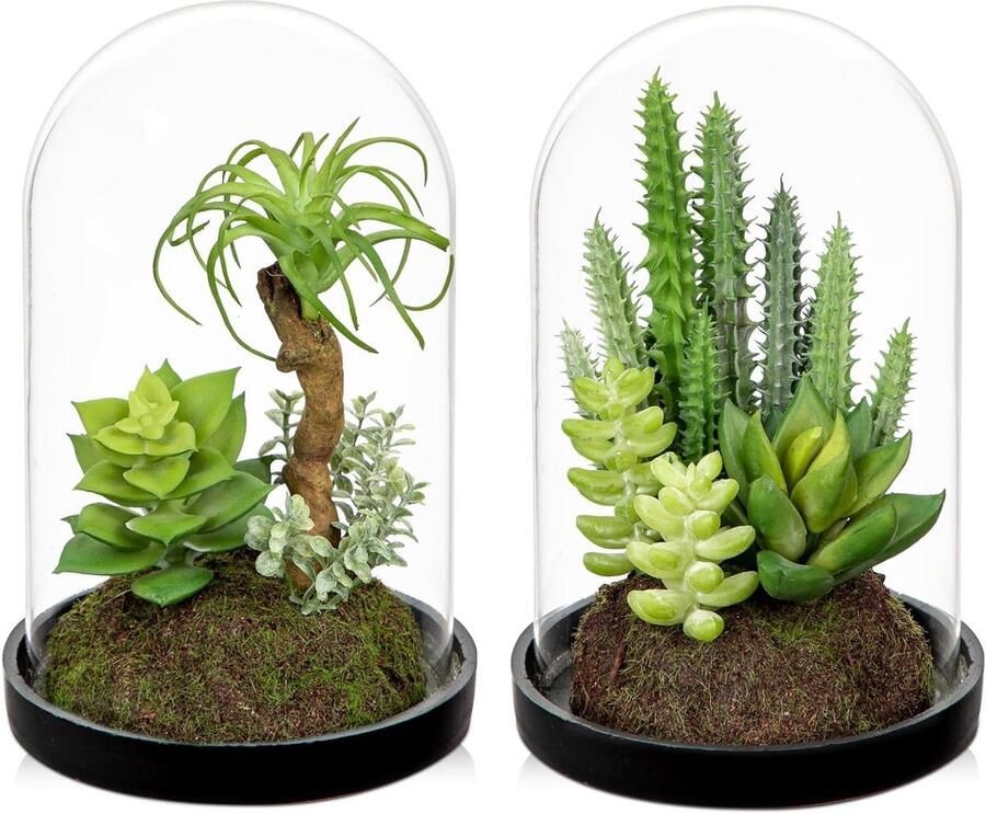 Allecto Plus 2 Kunstmatige Succulenten in Glazen Bel 15CM Nep Succulente Planten Decoratief Voor Binnen Kantoor en Tafel Decoratie