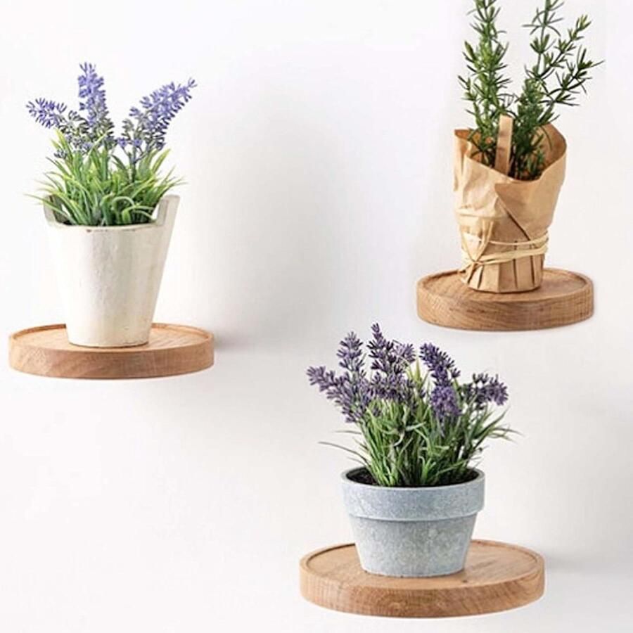 Allecto Plus 3 stuks houten wandrek rond plantenrek met Ø 15 cm bloemenrek voor binnen en buiten gebruik