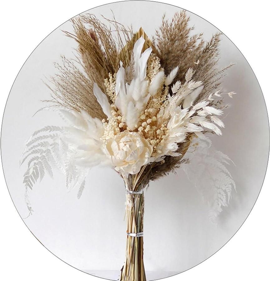 Allecto plus 49 Stuks Gedroogd Pampas Gras Boeket voor Boho Interieurdecoratie met Natuurlijke Gedroogde Bloemen Woonkamer Tafel Slaapkamer Bruiloft en Badkamer Aankleding
