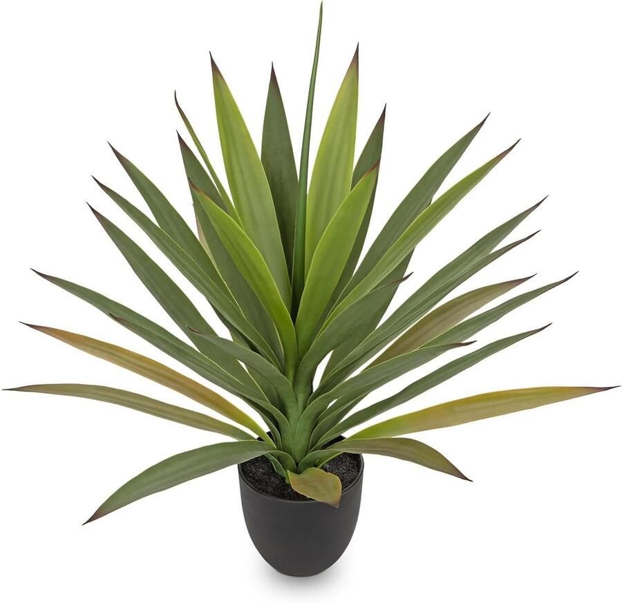 Allecto Plus Artificiële Agave Plant 52cm Neppe Plant Realistische Nep Agave Plant voor Binnen Kunstmatige Vetplant voor Thuis Kantoor en Woonkamer Decoratie voor Tafel en Tuin