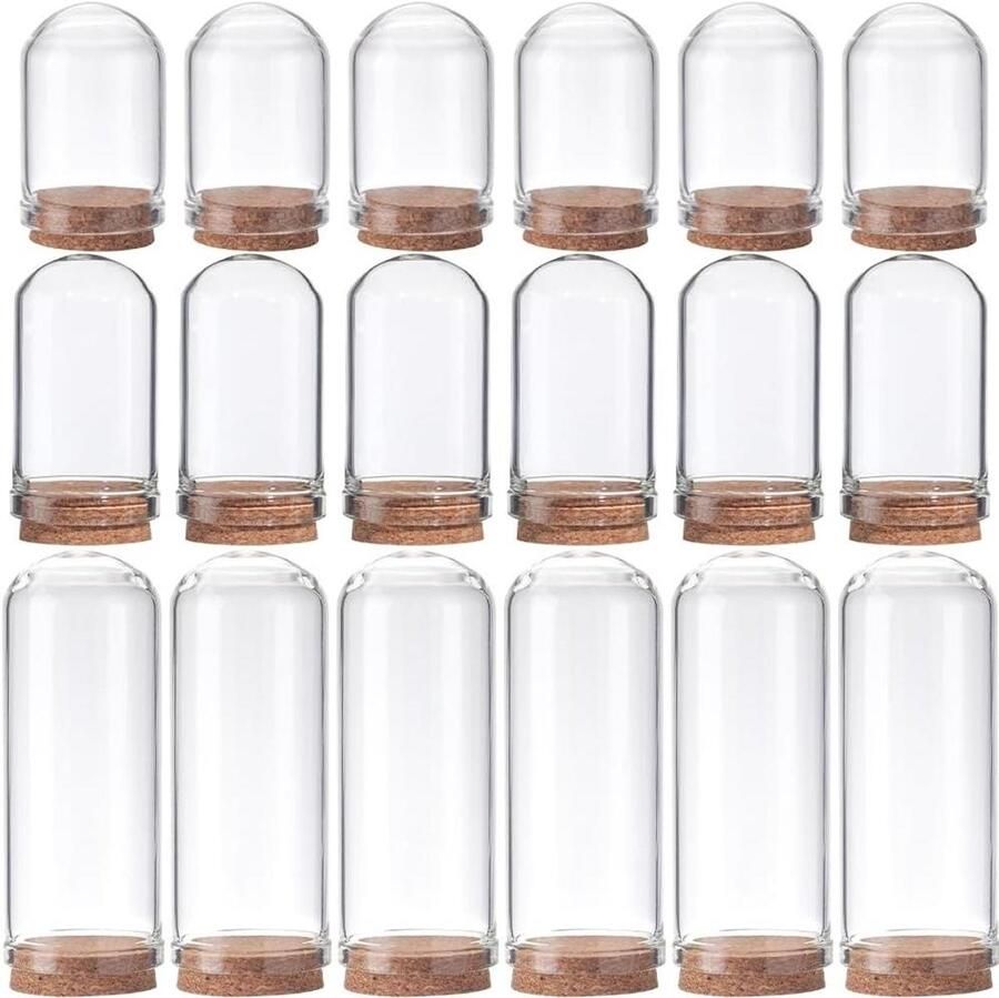 Allecto plus Cloche Bell Jar Vitrine met Houten Basis 12 stuks Kleine Glazen Potten Decoratieve Potten Bloem Opslag Schelpen Party Favor Home Decoratie