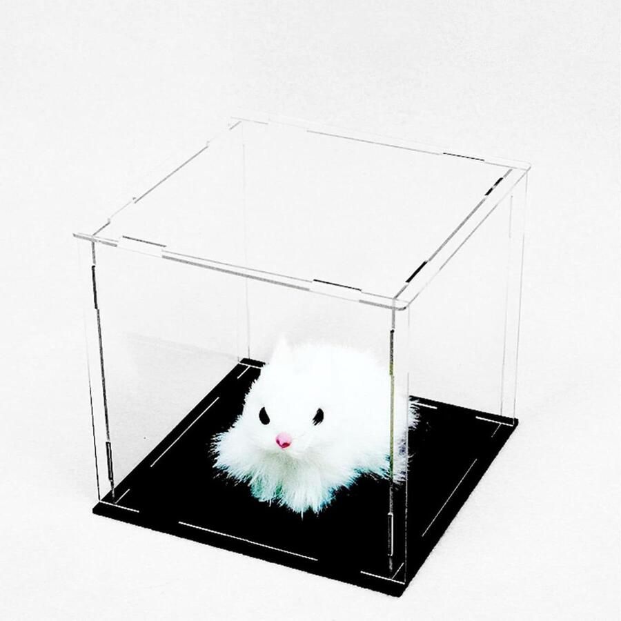 Allecto Plus Doorzichtige acryl vitrine voor verzamelobjecten Stofdichte vitrine met verdikte basis voor display van actiefiguren Thuisopslag en speelgoedorganisatie 4x4x4 10x10x10cm