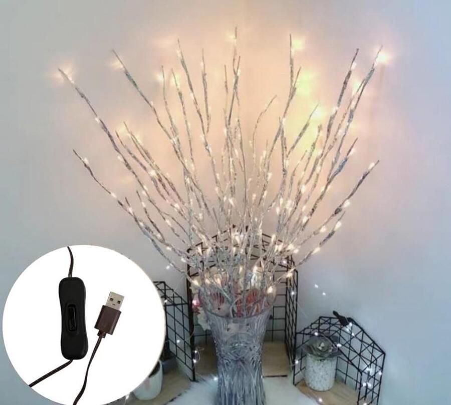 Allecto Plus Dubbele lamp met 6 takken en 120 LED-lampen USB-voeding Kerstdecoratie binnen en buiten 77 cm