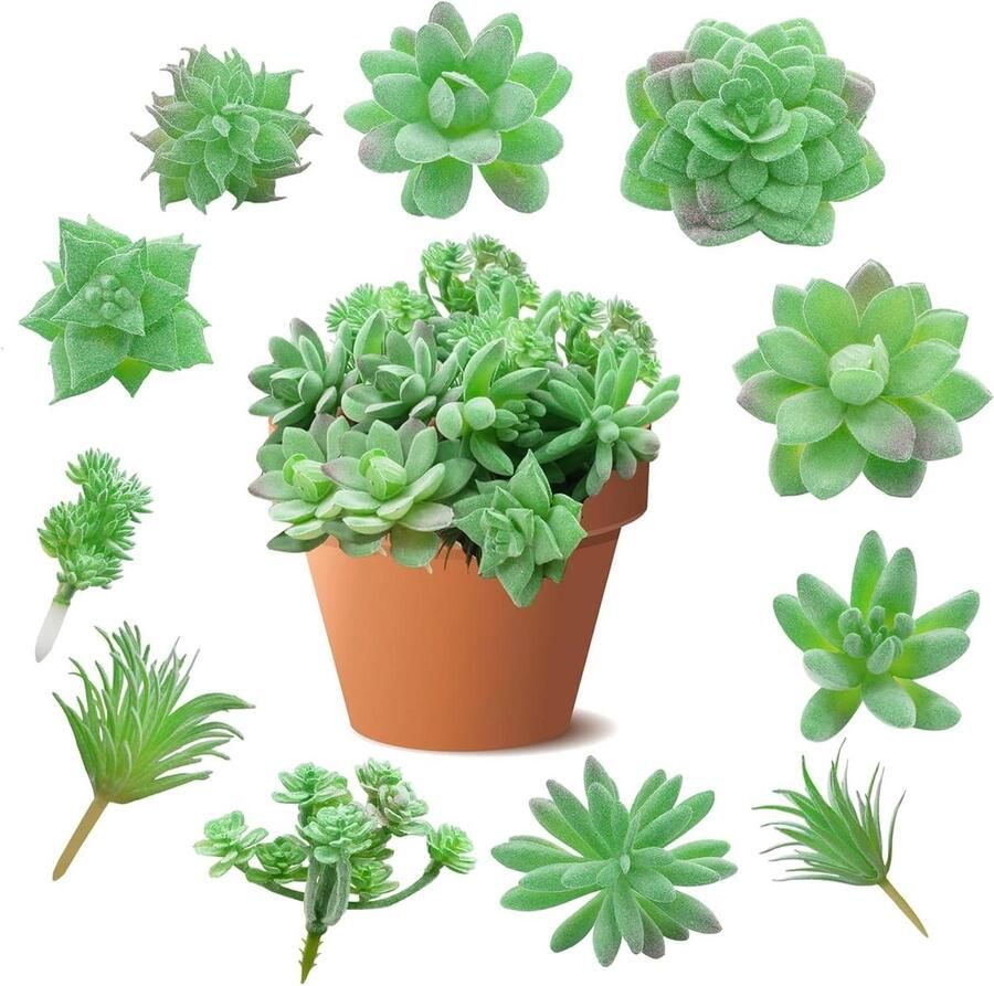 Allecto plus Geassorteerde Faux Succulenten Pick Kunststof Nepvetplanten Voor Eettafel en Bureau DIY Microlandschap 11 Stuks