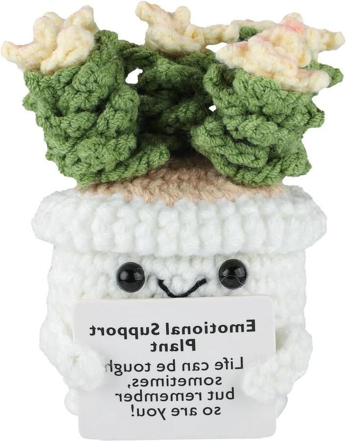 Allecto Plus Gehaakte Succulenten Decoratief Miniatuur Positieve Sfeer Planten Leven Bureau Decoratie