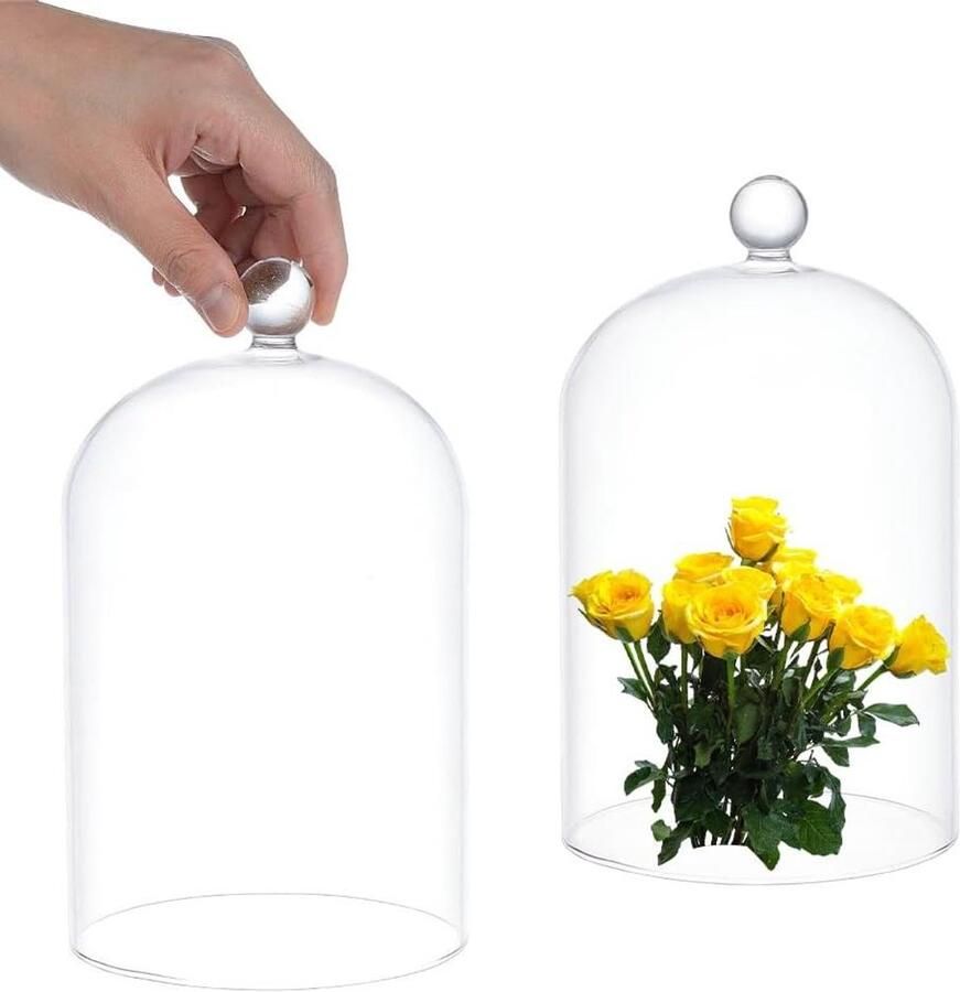 Allecto plus Glazen bel verzamelobjecten antiek vitrine decoratiebal plantenverlichting tafeldecoratie fotomedaille Transparant 98 karakters