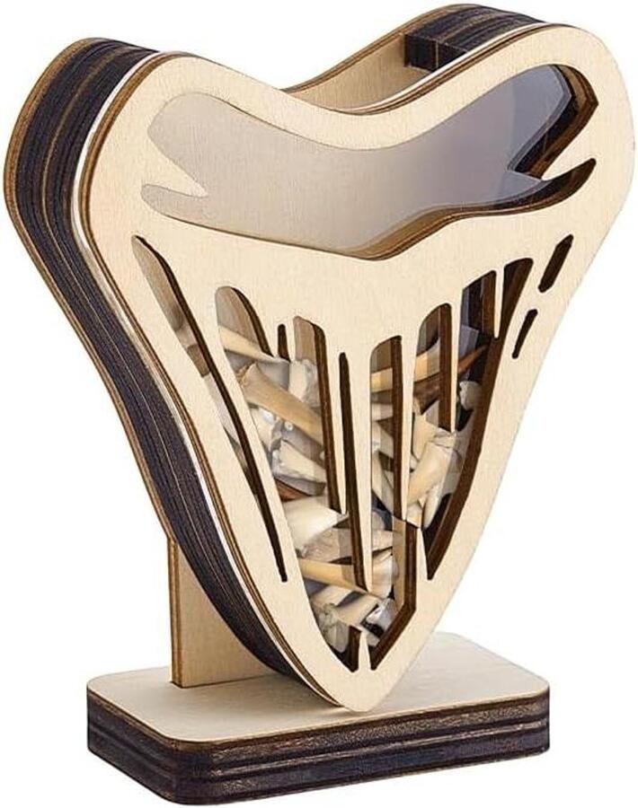 Allecto plus Haaientanden vitrinekast 10 7 x 8 9 cm Houten haaientanden schaduwdoos Vakantie kust strand decoratie met doorzichtig venster Houten houder Displaybox voor woonkamer slaapkamer
