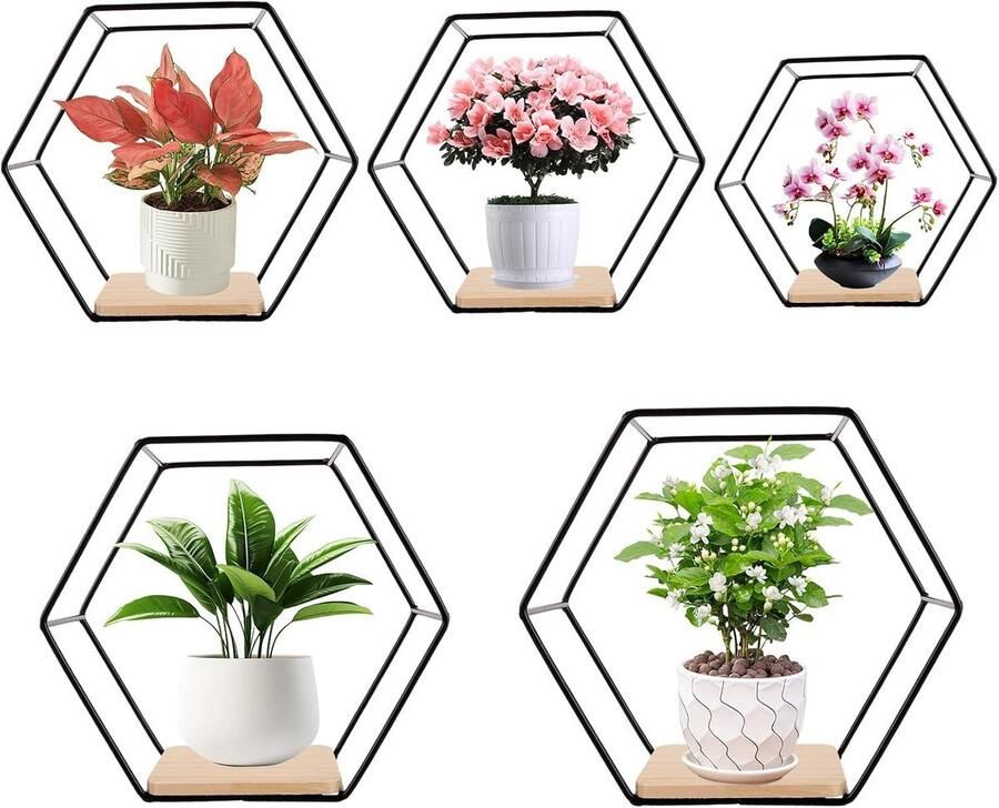 Allecto plus Hexagon Wandrek Zwart Metaal Set van 5 Wanddecoratie Hangplanken voor Woonkamer Slaapkamer Badkamer
