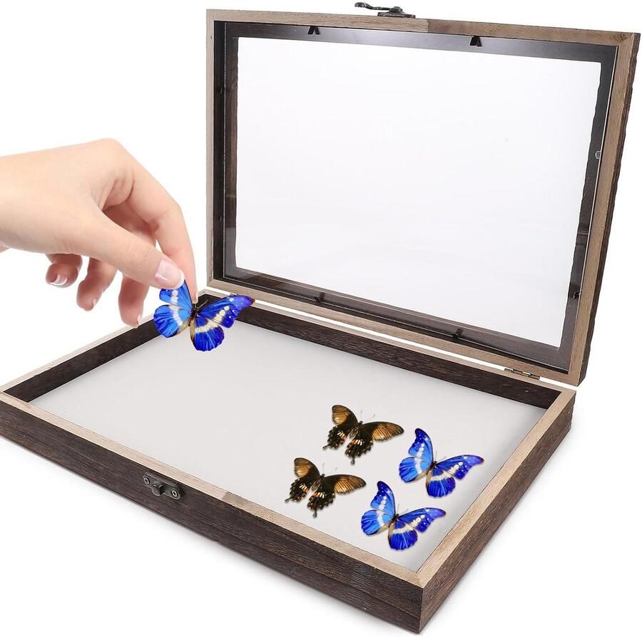 Allecto Plus Houten Specimen Vitrine Met Transparant Deksel Display Box Voor Vlinders en Planten Duurzaam en Elegant Decoratie of Cadeau Voor Insectenliefhebbers