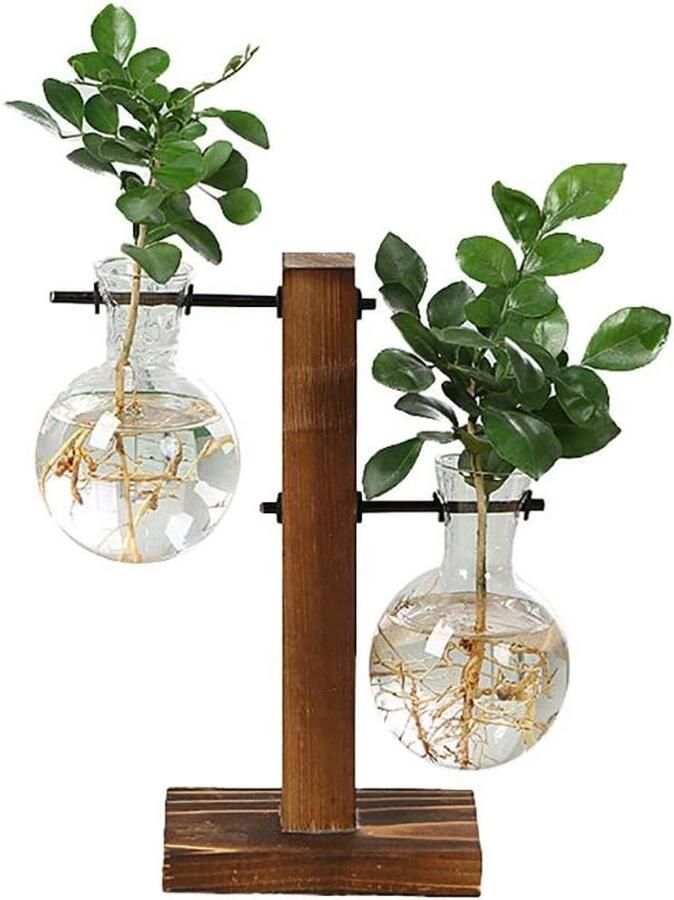 Allecto Plus Hydrocultuur vaas voor thuis en op kantoor Glazen plantenvaas met houten plank en 2 lampen Vintage design Avocado-vaas met reageerbuisjes Geschikt voor binnen Tafel en bureau decoratie